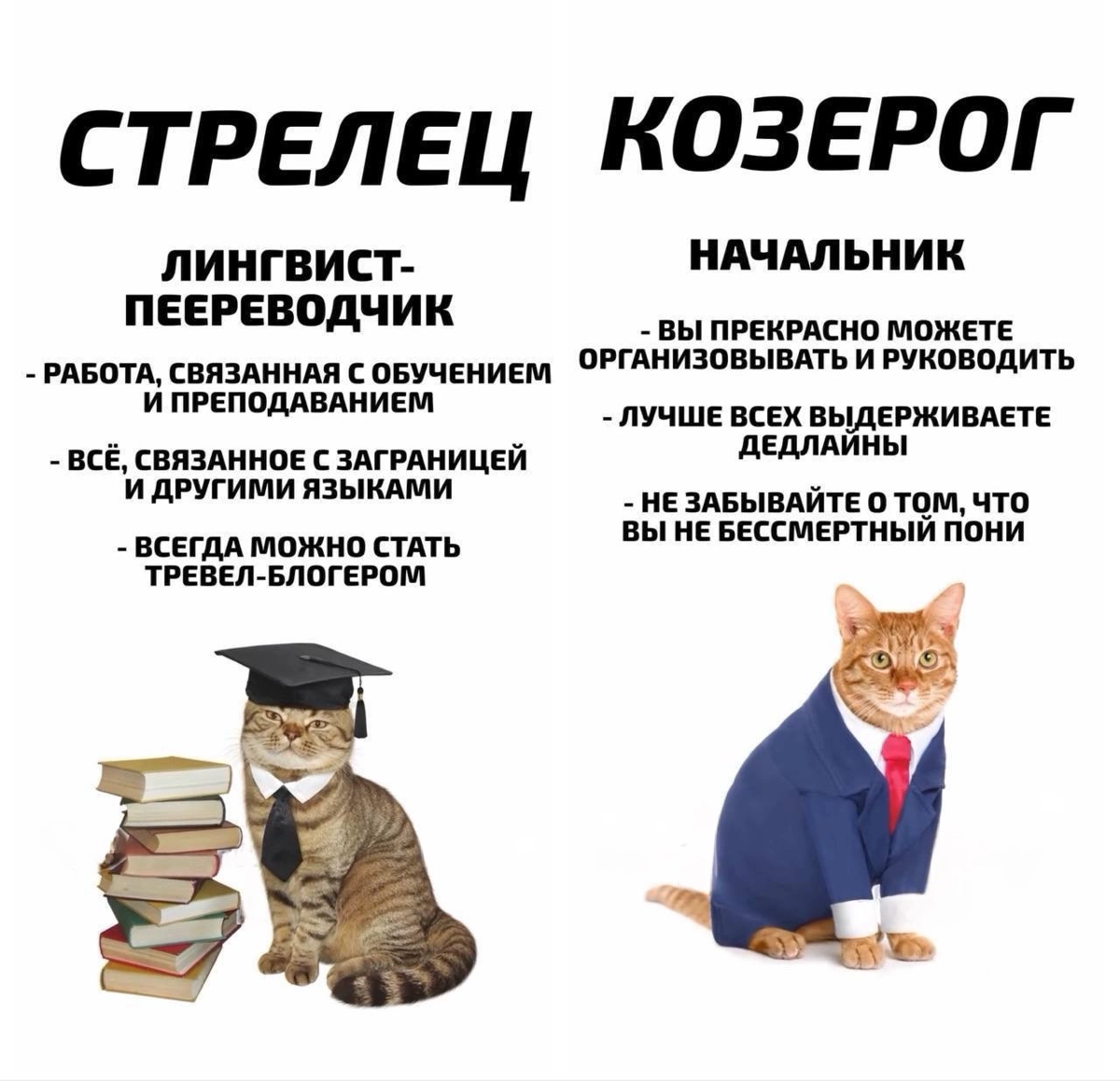 Эксперты рассказали, какая ты профессия по знаку зодиака. | Сетка — новая социальная сеть от hh.ru