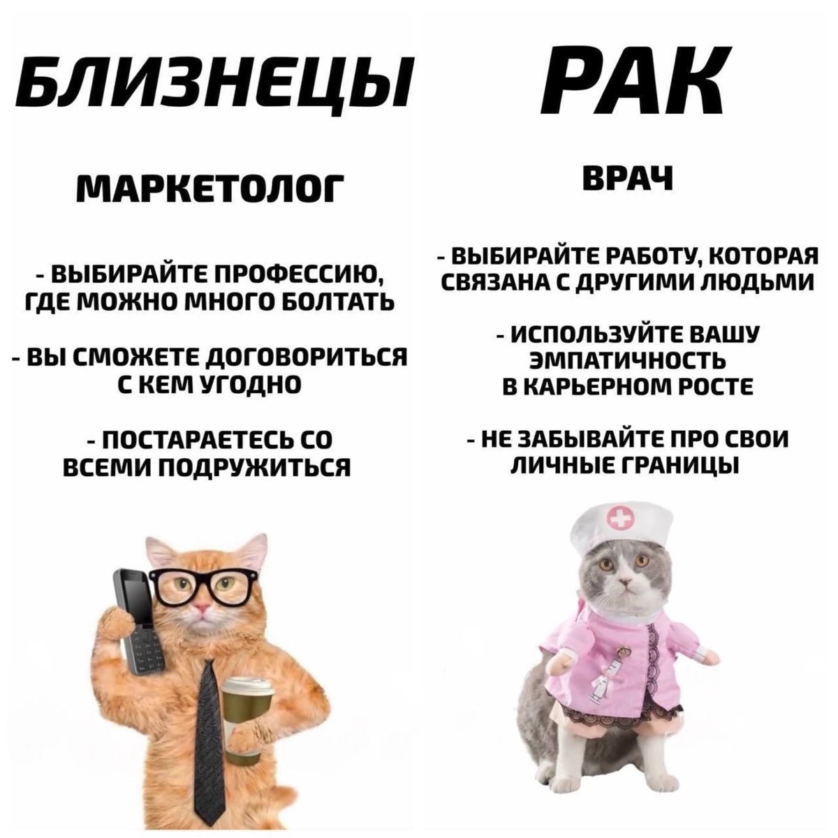 Эксперты рассказали, какая ты профессия по знаку зодиака. | Сетка — новая социальная сеть от hh.ru