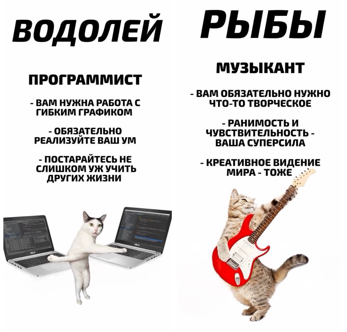 Эксперты рассказали, какая ты профессия по знаку зодиака. | Сетка — новая социальная сеть от hh.ru
