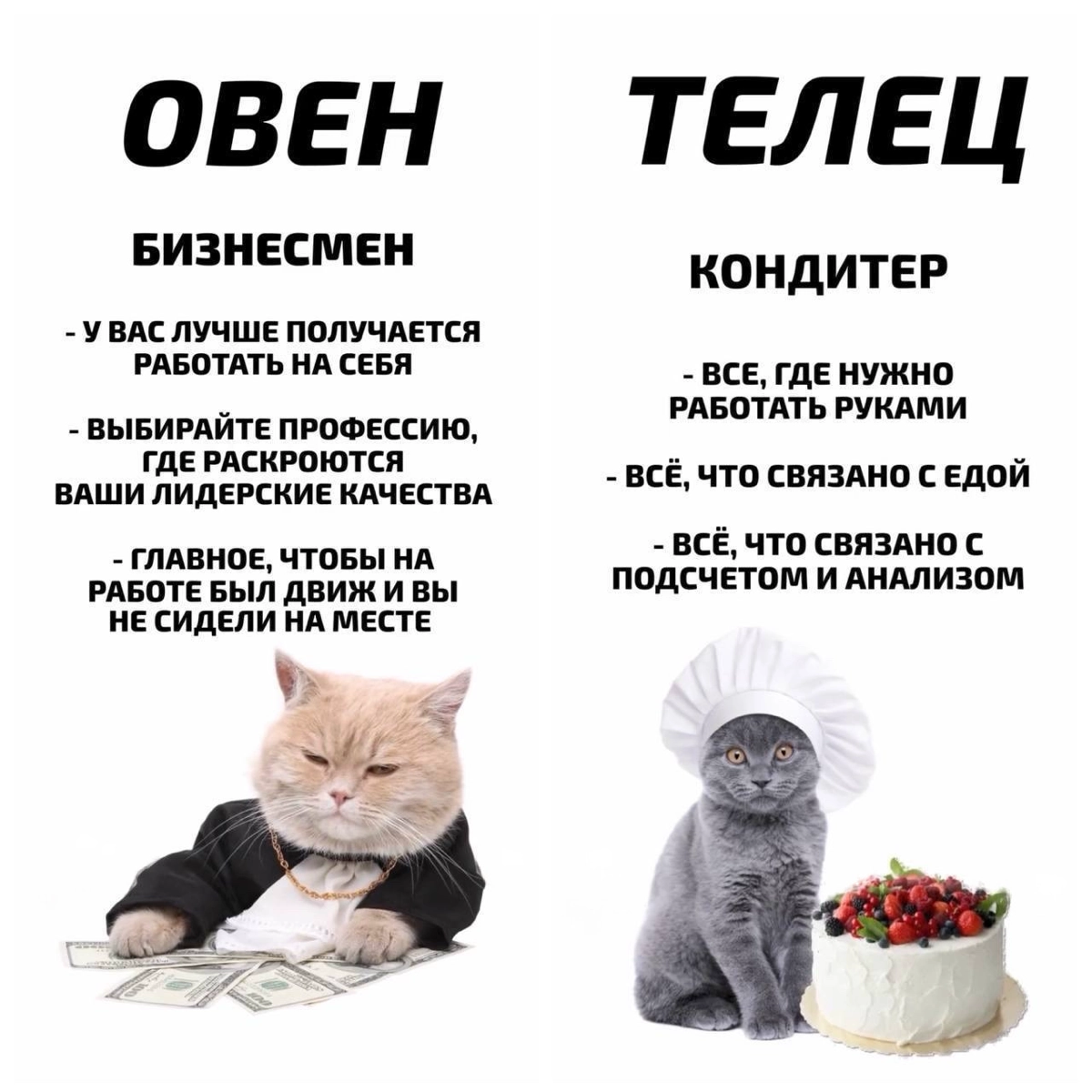 Эксперты рассказали, какая ты профессия по знаку зодиака. | Сетка — новая социальная сеть от hh.ru