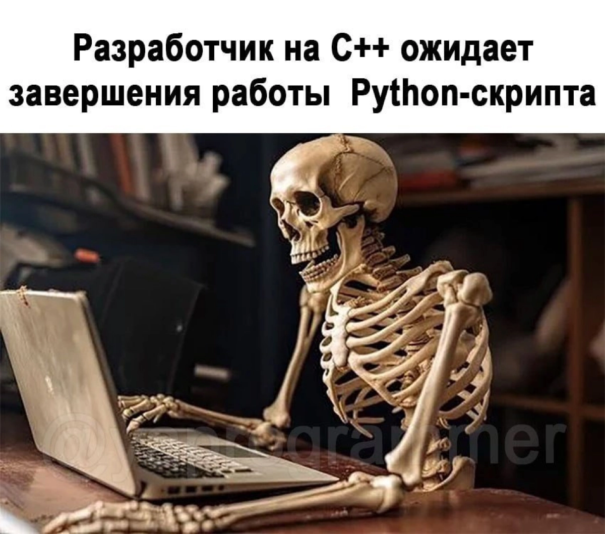 Сетка — социальная сеть от hh.ru
