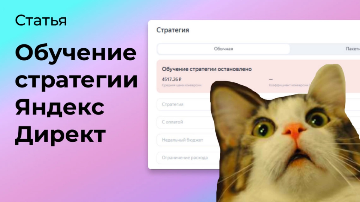Обучение стратегии Яндекс Директ остановлено: что делать? | Сетка — новая социальная сеть от hh.ru