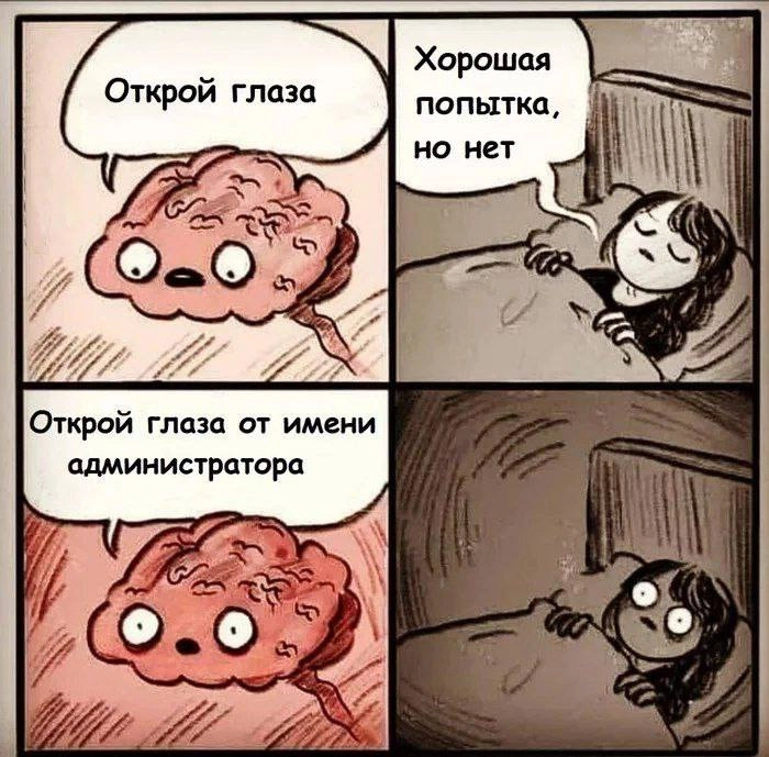 Сетка — новая социальная сеть от hh.ru
