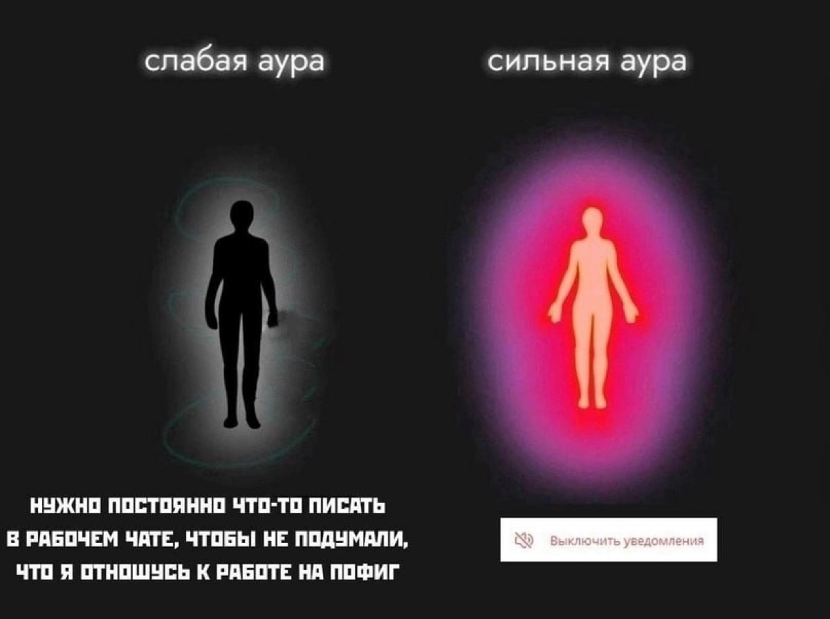 Сетка — социальная сеть от hh.ru