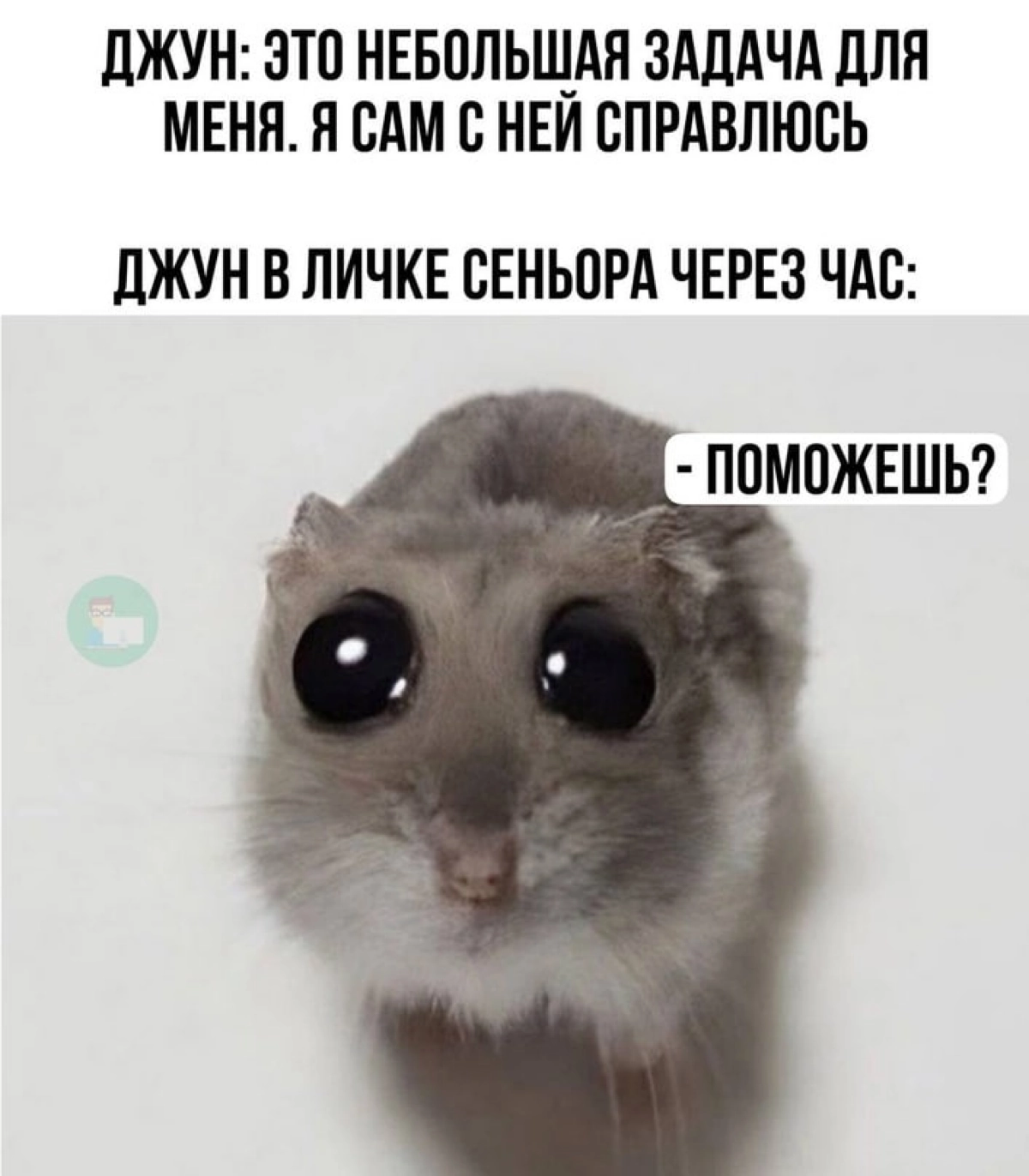 Сетка — социальная сеть от hh.ru