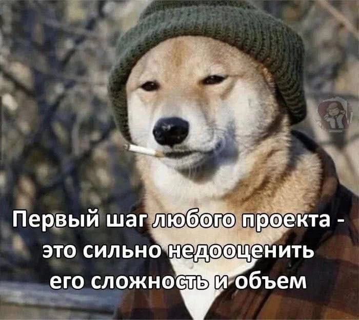 Сегодня пятница, а это значит пора обмениваться мемами! На прошлой неделе был самый популярный мем от Светланы он👆
Спасибо за активность!)
Публикуй мемы в комментариях и голосуй за другие любой реакци... | Сетка — новая социальная сеть от hh.ru