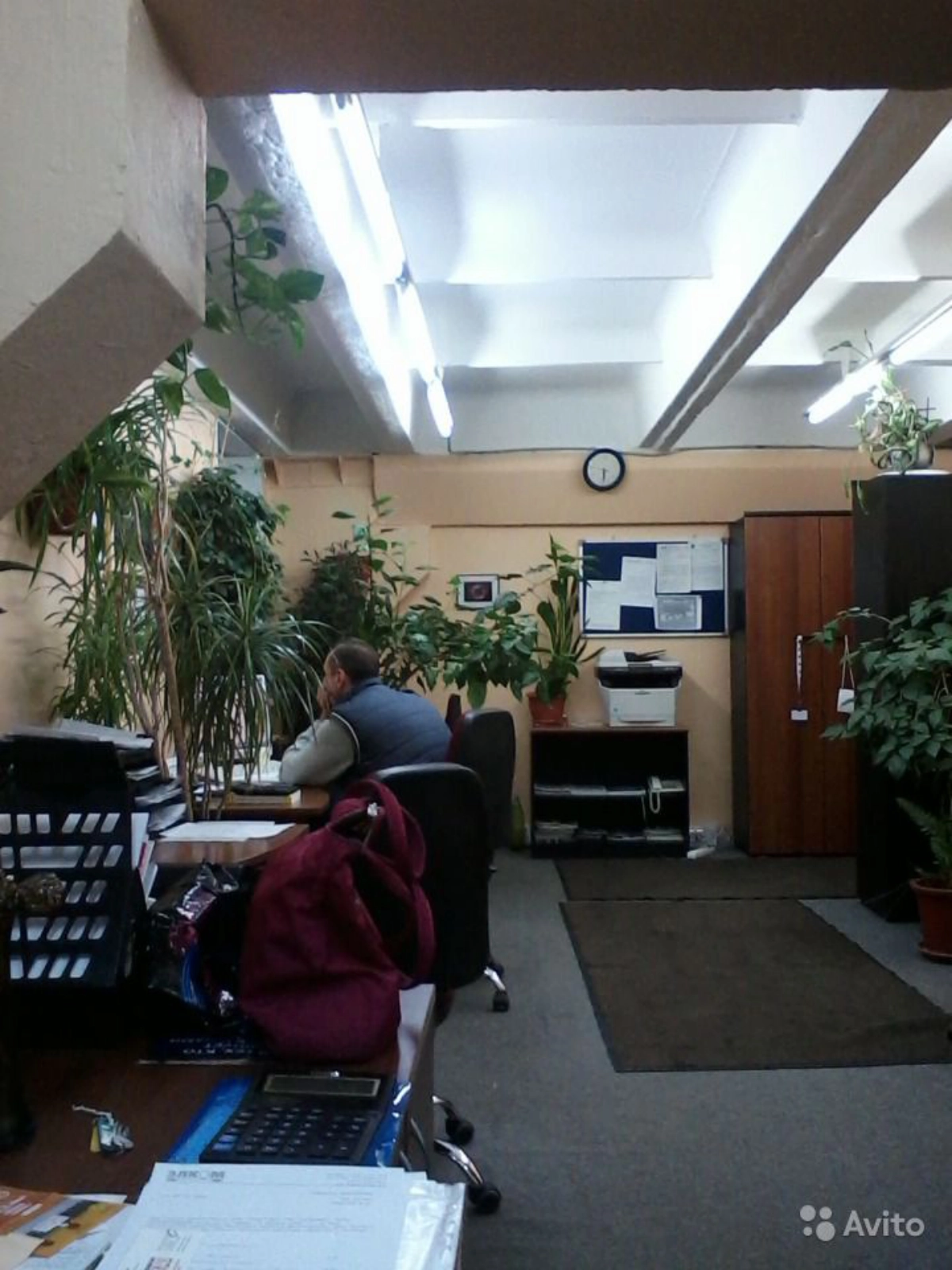 Михаил Иванов | Сетка — социальная сеть от hh.ru