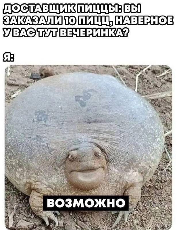 Сетка — новая социальная сеть от hh.ru