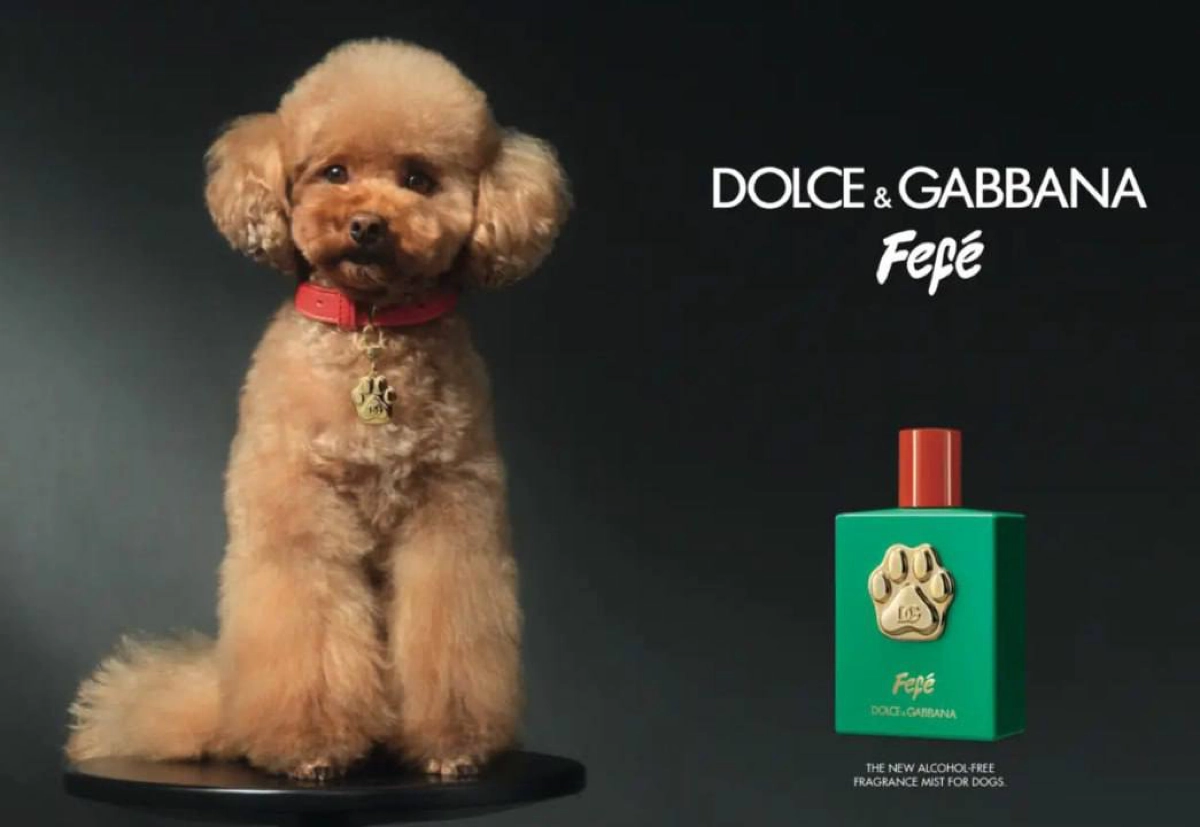Dolce&Gabbana выпустили парфюм для собак.
В нём нет спирта, а запах приятен и для животных, и для людей. Духи были вдохновлены Фефе — питомцем Доменико Дольче | Сетка — новая социальная сеть от hh.ru