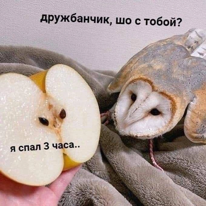 Сетка — новая социальная сеть от hh.ru