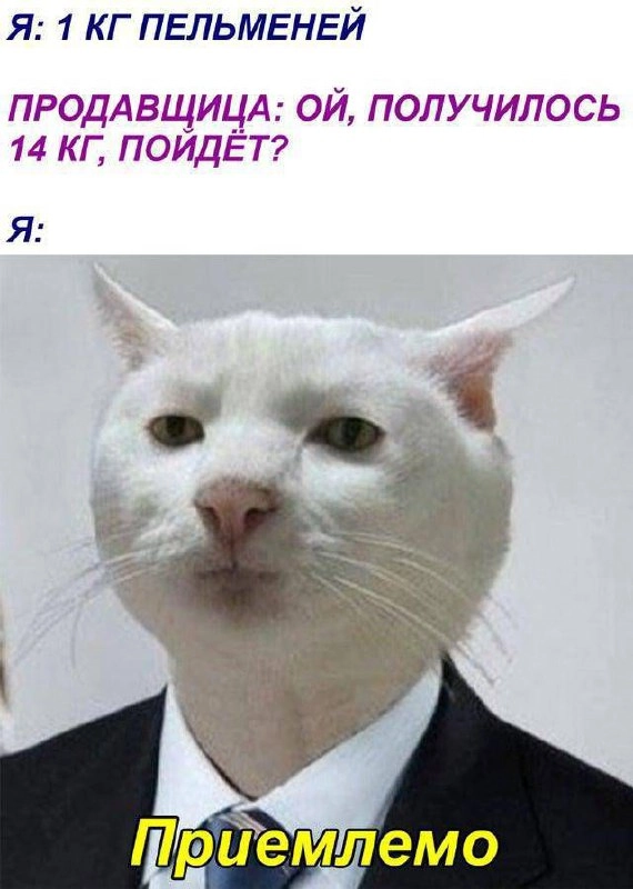 Сетка — новая социальная сеть от hh.ru