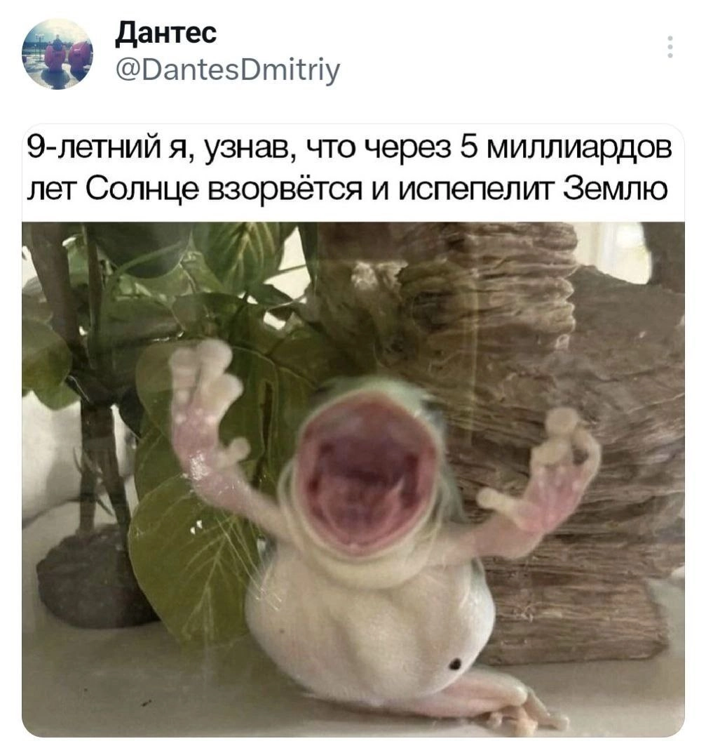 Сетка — новая социальная сеть от hh.ru