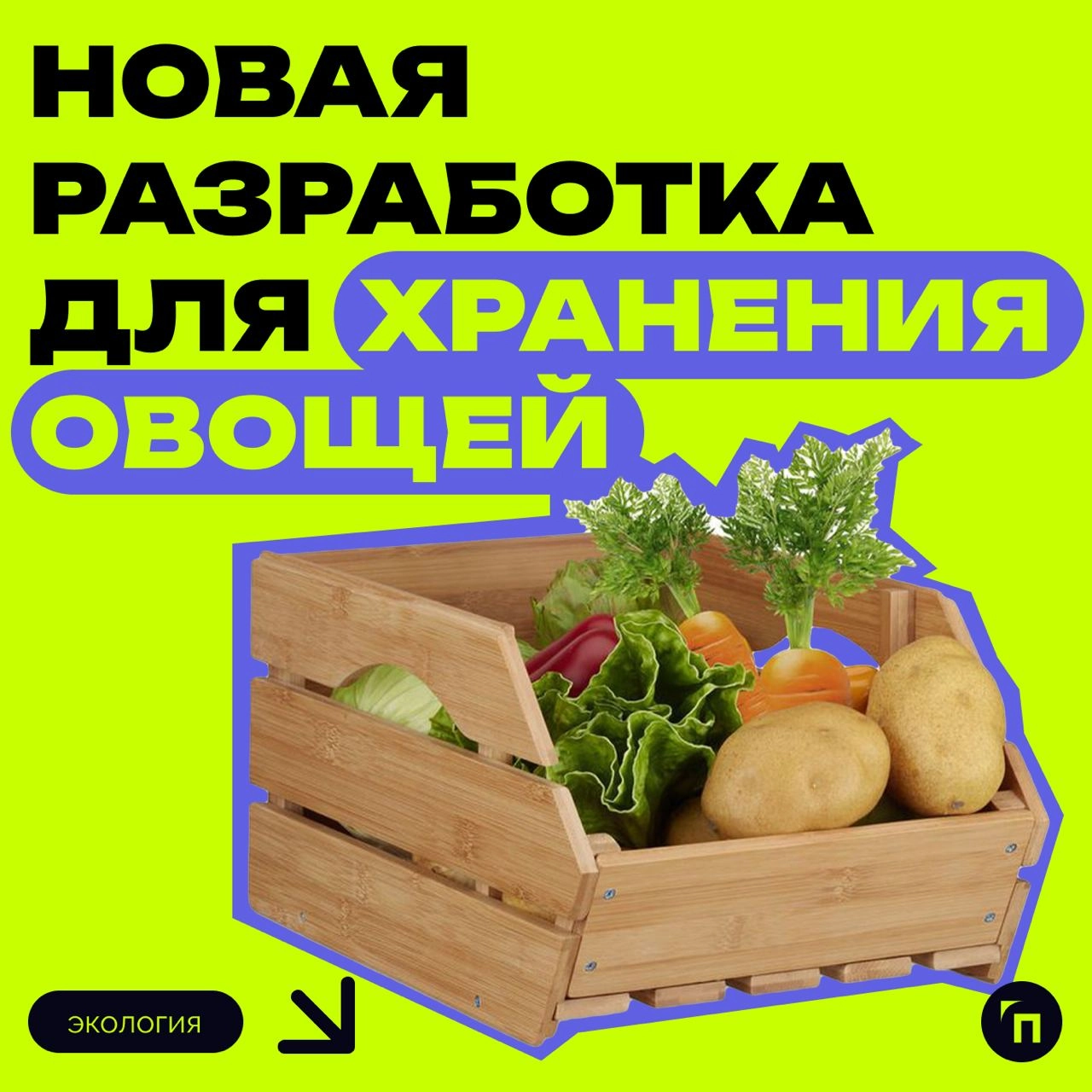 ⚡️ Новая разработка для длительного хранения овощей
Новосибирский государственный технический университет НЭТИ разработал биогель, увеличивающий срок хранения овощей и фруктов в четыре раза | Сетка — новая социальная сеть от hh.ru