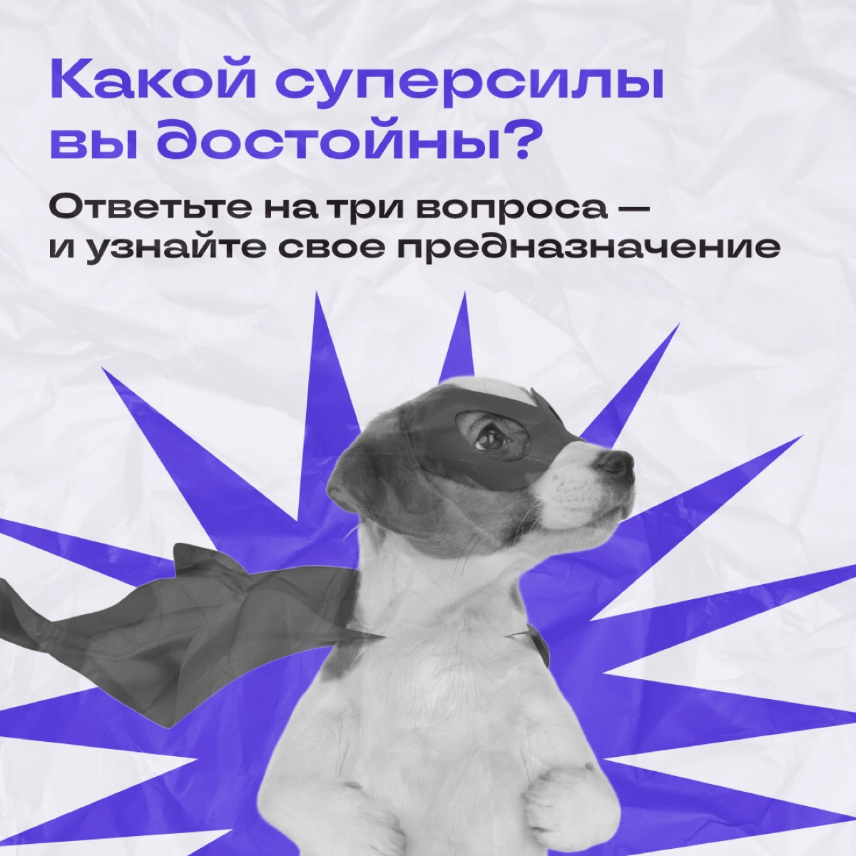 Наши мудрецы со склонов Фудзи разрабатывали этот тест тысячелетиями. И всё для того, чтобы вы узрели свою мощь! | Сетка — новая социальная сеть от hh.ru