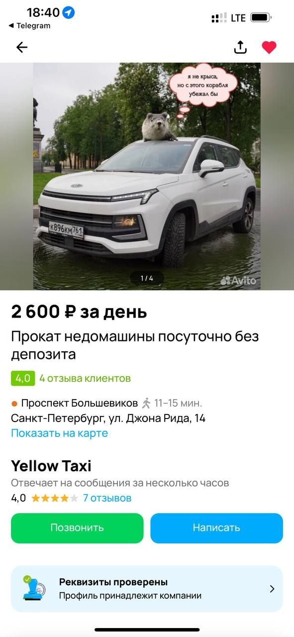 Сетка — новая социальная сеть от hh.ru