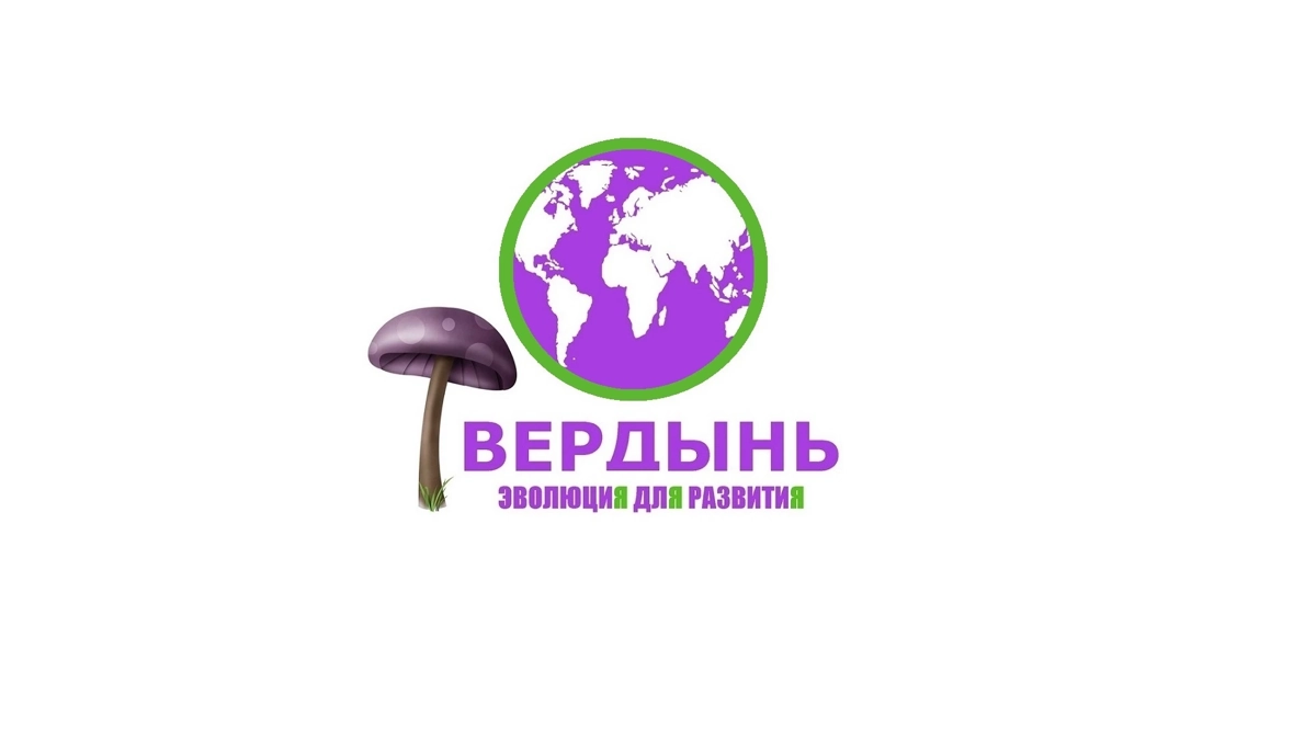 Игровая студия ТВЕРДЫНЬ | Сетка — новая социальная сеть от hh.ru