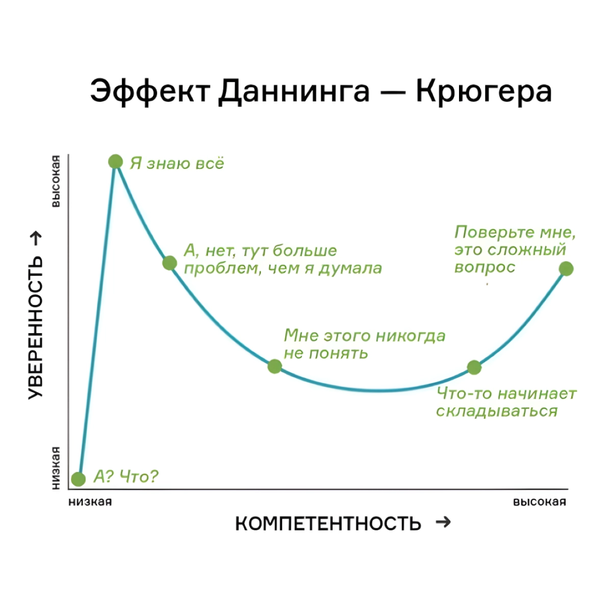 Эффект Даннинга-Крюгера 📉 | Сетка — социальная сеть от hh.ru