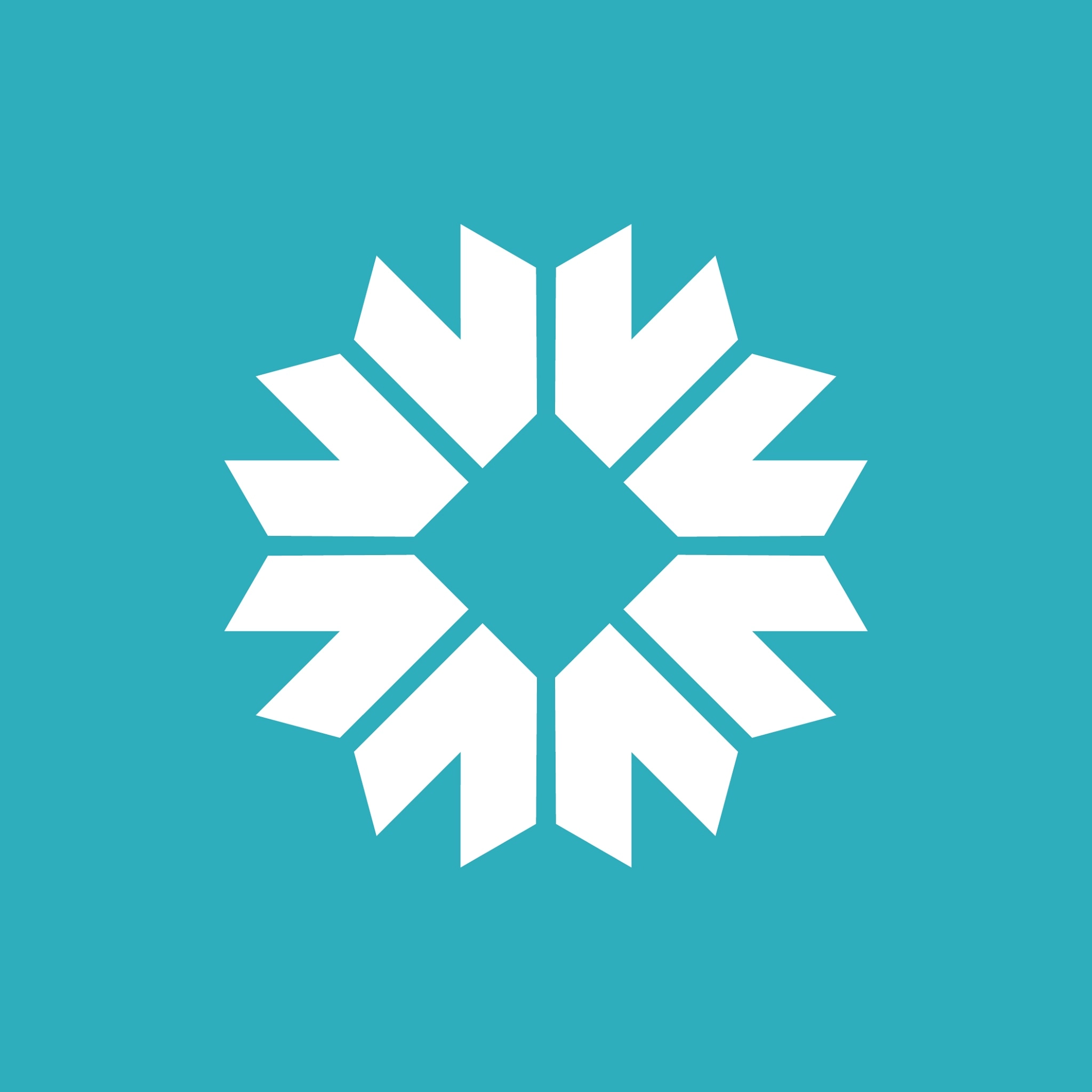 company logo