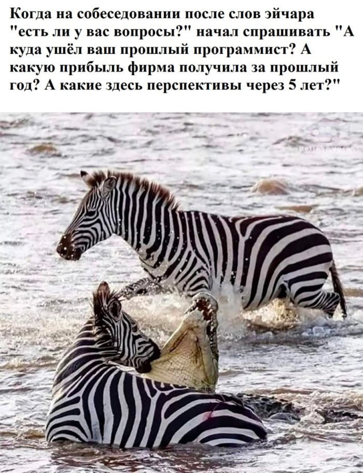 Сетка — социальная сеть от hh.ru