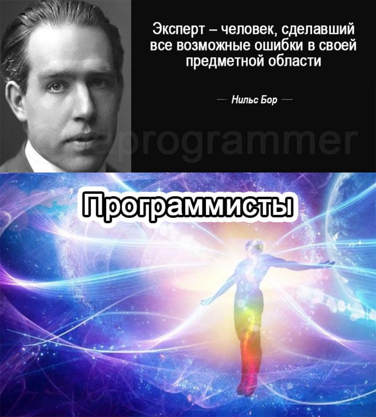 Сетка — социальная сеть от hh.ru