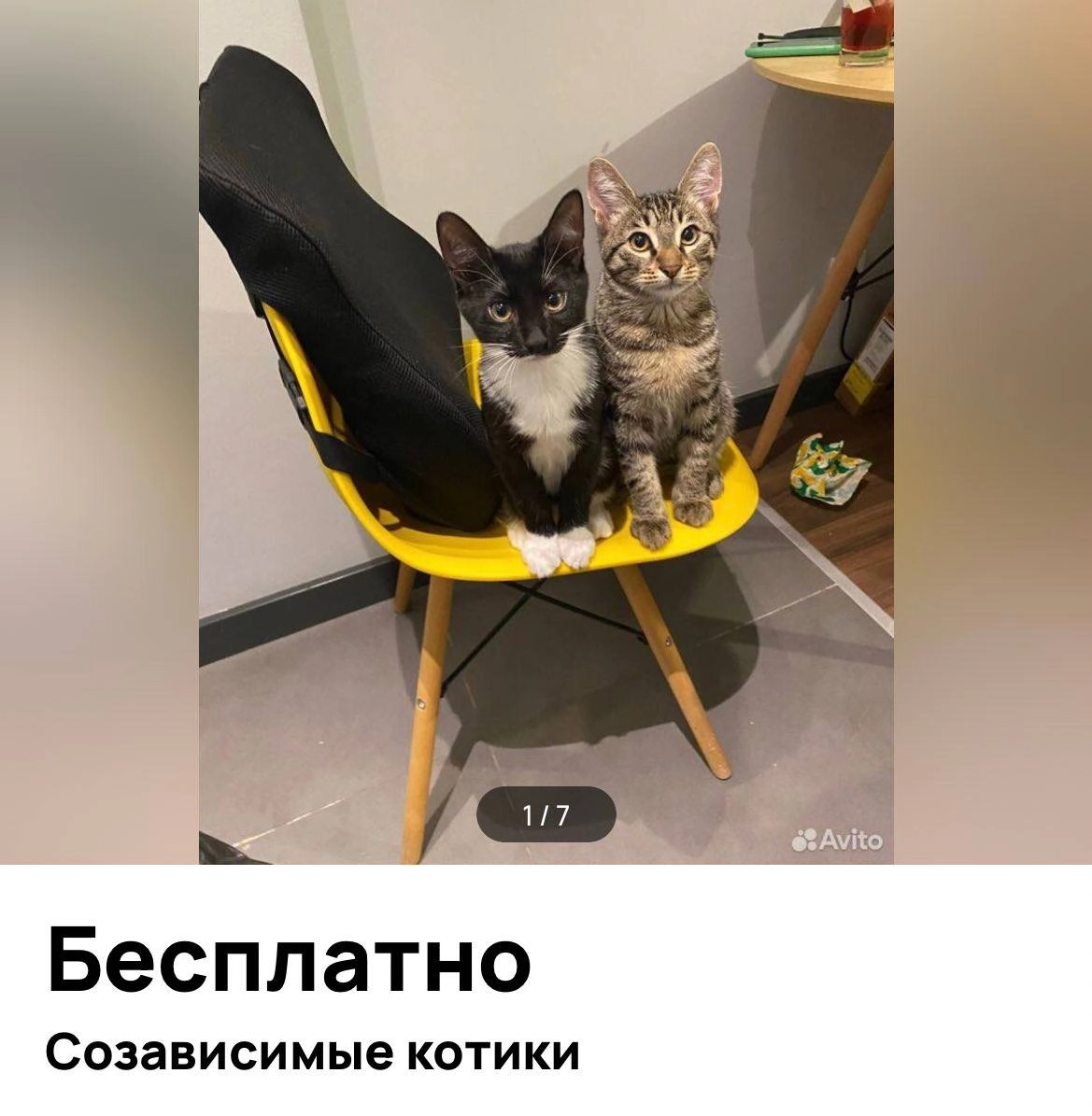 На Авито нашли тех самых коллег, которых никогда не встретить по-отдельности.
Вы знаете, кому это отправить.
🍕зумеры любят пиццу? | Сетка — новая социальная сеть от hh.ru