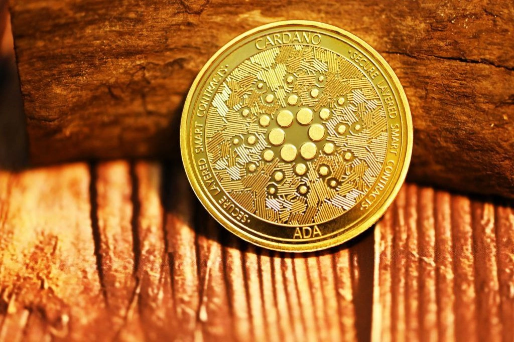 Cardano готовится запустить хард-форк Chang.
#Cardano (#ADA) готовится запустить долгожданный хардфорк Chang, поскольку более 70% узлов заявили о готовности к новой версии | Сетка — новая социальная сеть от hh.ru