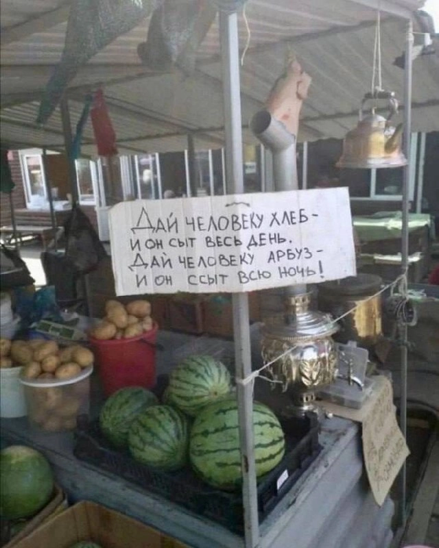 ⚡️⚡️⚡️ сторонники Алексея Дуркина провели акцию по дискредитации семьи политиеского оппонента Арбуза Марбуза | Сетка — новая социальная сеть от hh.ru