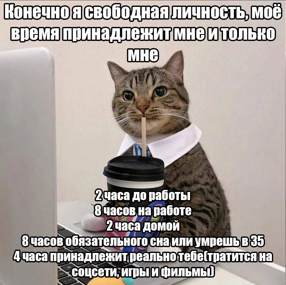 Сетка — новая социальная сеть от hh.ru