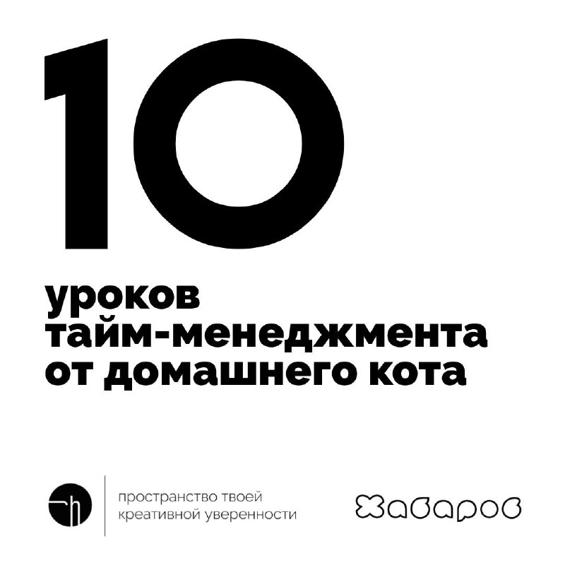 Неделя ПЦ, день третий. Смотрим на домашнего кота, берём у него уроки тайм-менеджмента.
#10идейвдень by @creativehappens | Сетка — новая социальная сеть от hh.ru
