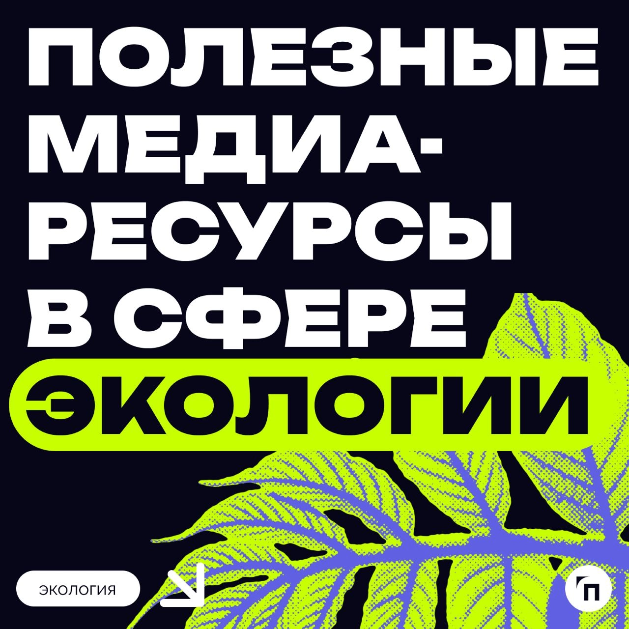 Природа – это книга, которую надо прочитать и правильно понять.
Мы же предлагаем к прочтению подборку самых актуальных экологических телеграм-каналов | Сетка — новая социальная сеть от hh.ru