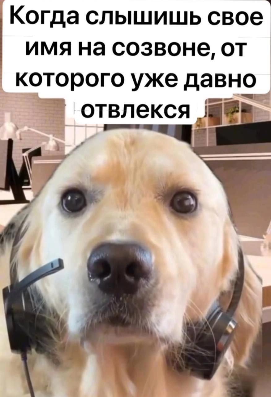 Сетка — новая социальная сеть от hh.ru