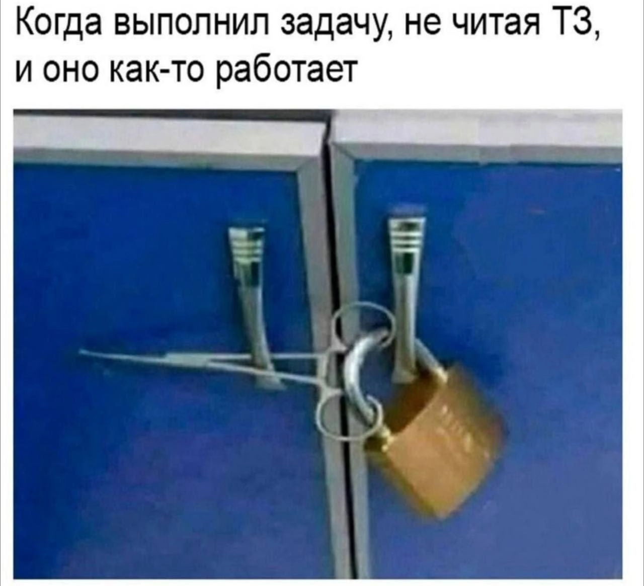 Ежедневное волшебство | Сетка — новая социальная сеть от hh.ru