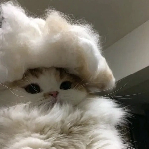 Subscriber avatar