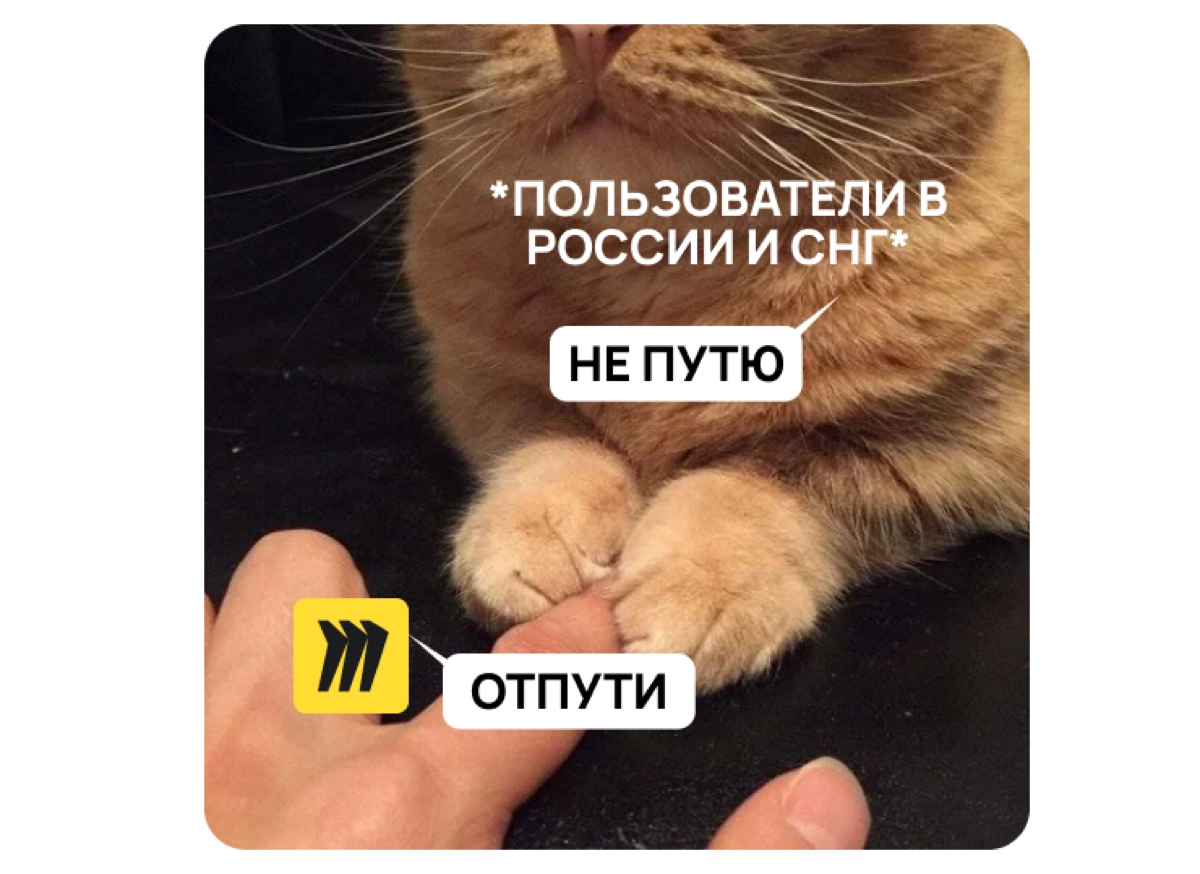 Подобрали 11 альтернатив, куда можно спать свою красоту и досочки из миро, который решил от нас отказаться 😖😭
https://vc.ru/services/1399264-miro-vse-chem-zamenit-servis-11-horoshih-alternativ | Сетка — новая социальная сеть от hh.ru