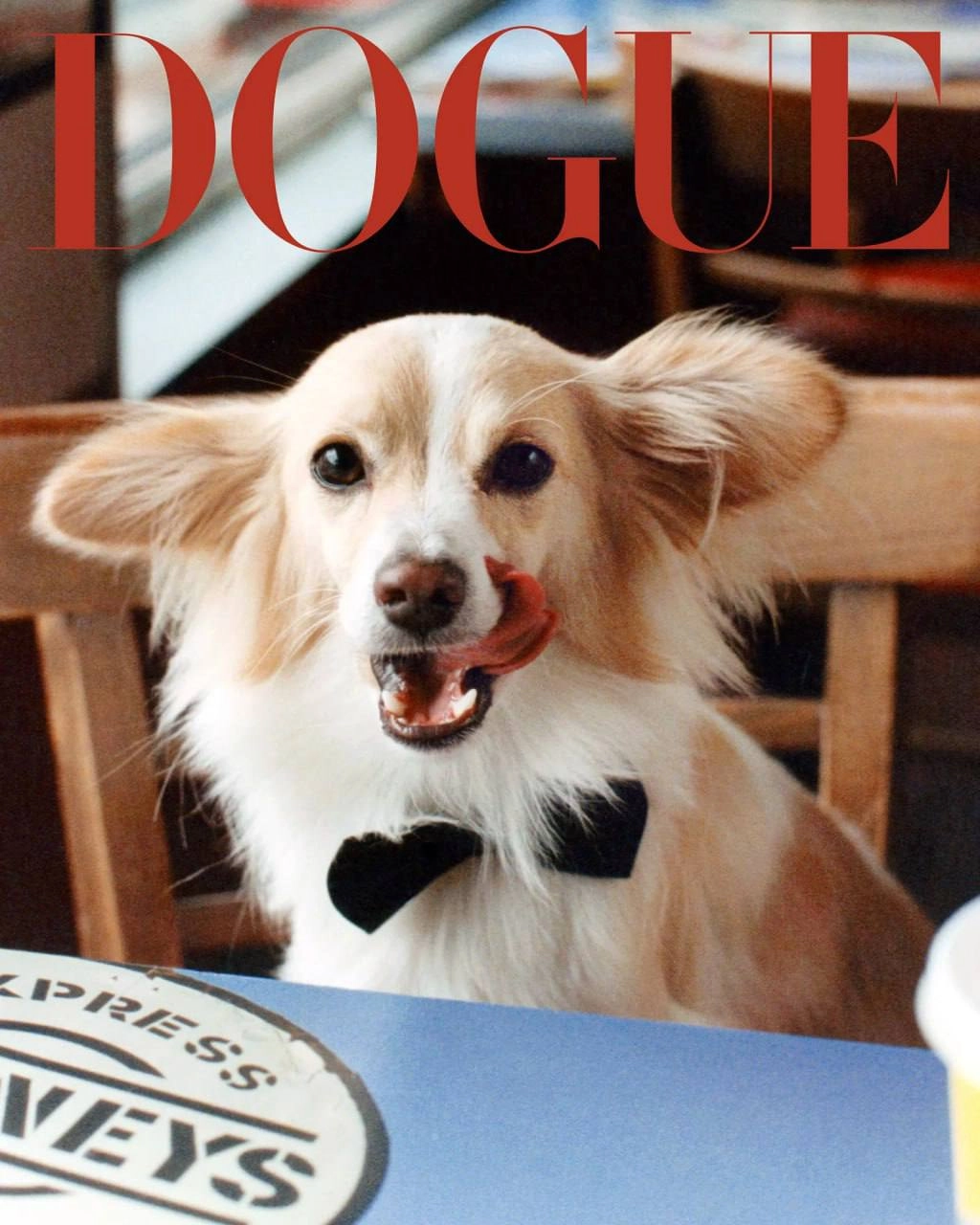 Классный special от VOGUE. Они решили не ограничиваться людьми и взяли в модели собак. Это специальный выпуск они назвали DOGUE. 
Собаки, ясное дело звездные | Сетка — новая социальная сеть от hh.ru