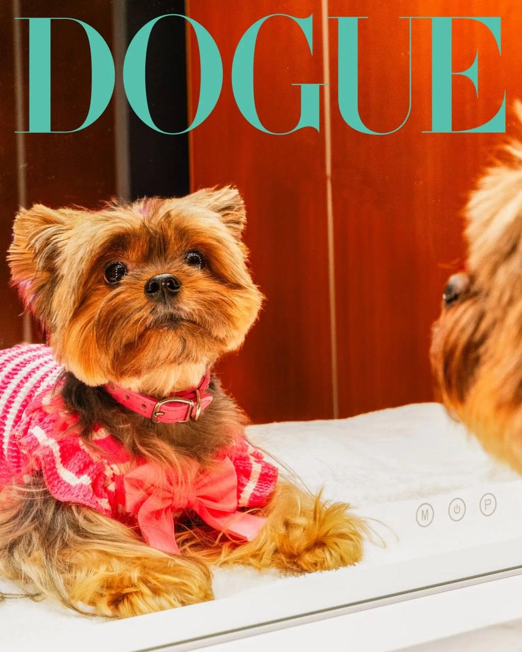Классный special от VOGUE. Они решили не ограничиваться людьми и взяли в модели собак. Это специальный выпуск они назвали DOGUE. 
Собаки, ясное дело звездные | Сетка — новая социальная сеть от hh.ru