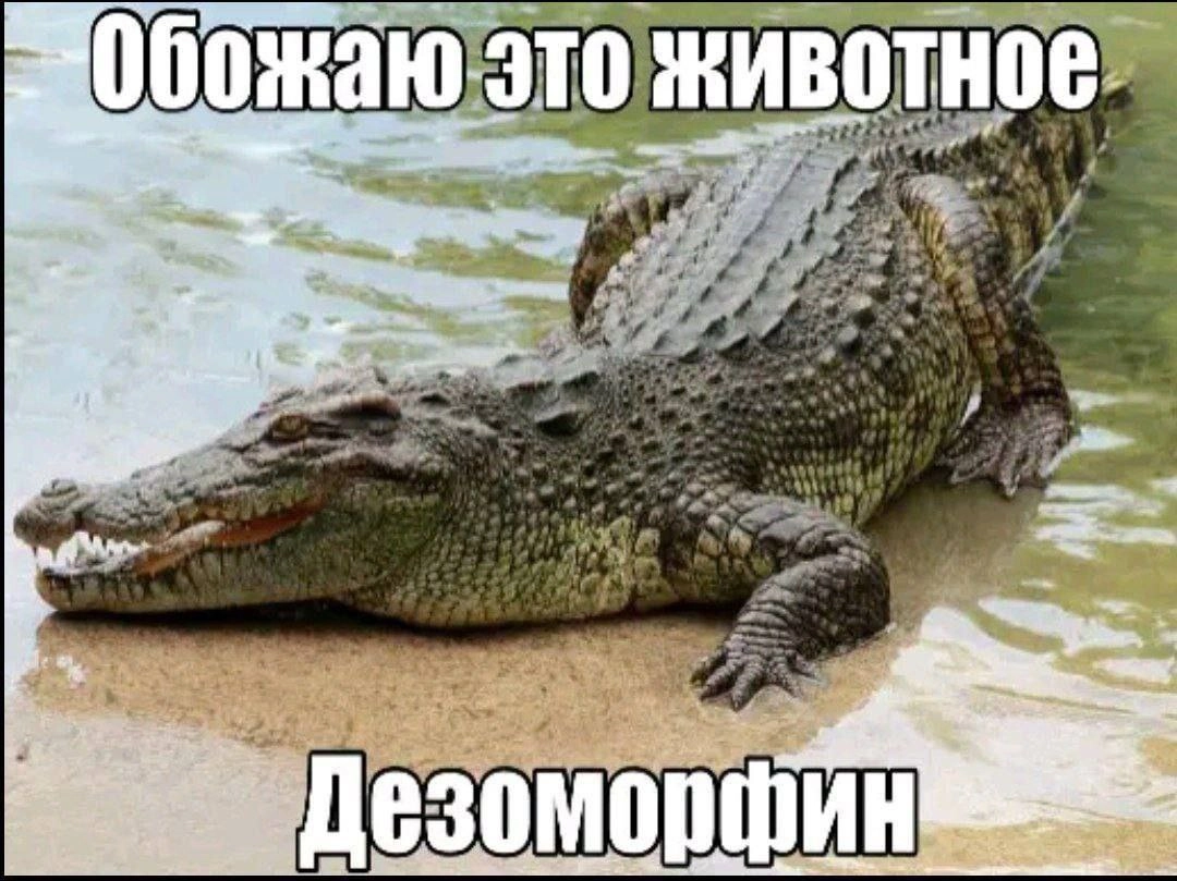 Сетка — новая социальная сеть от hh.ru