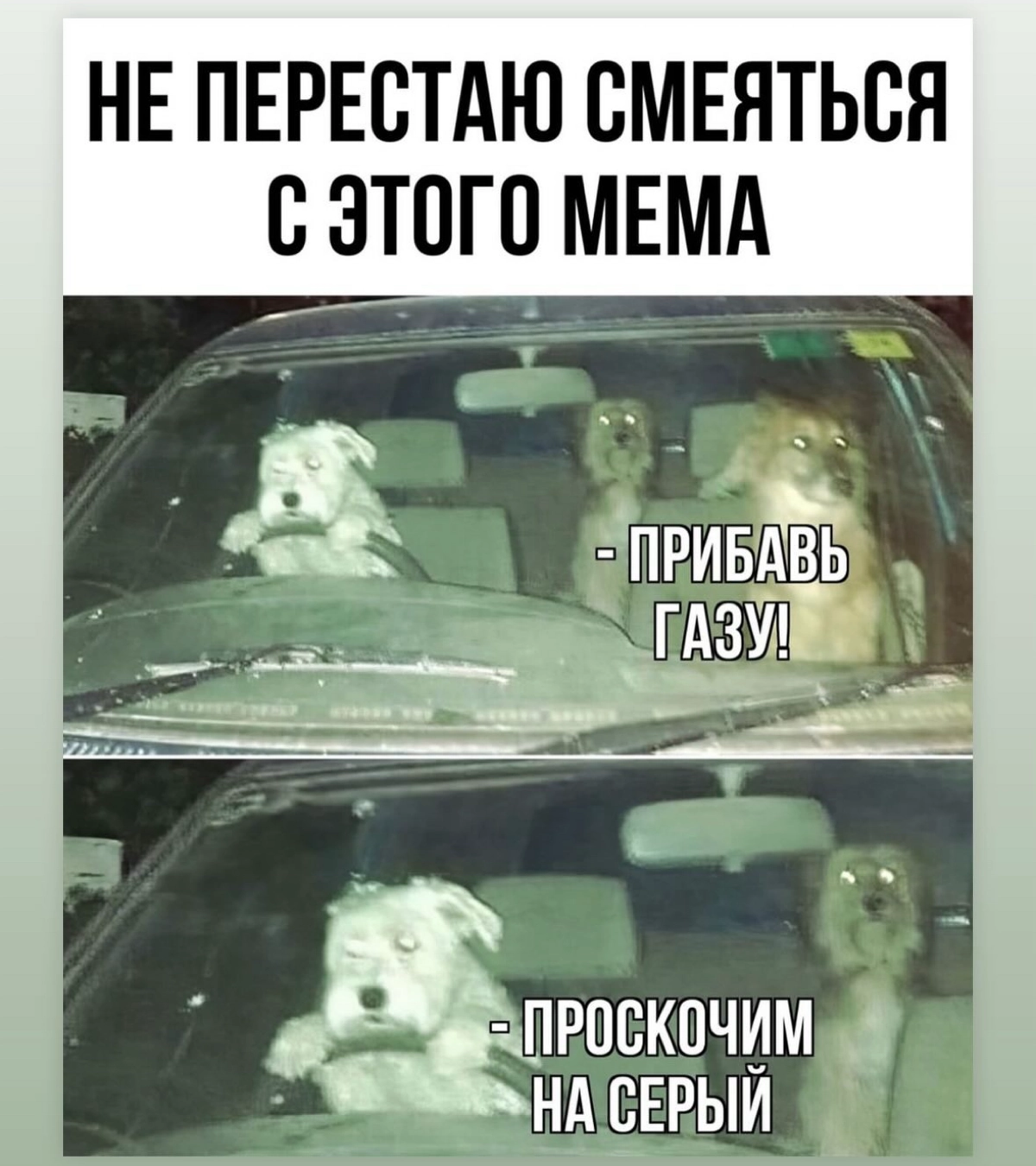 Мемы 1 | Сетка — новая социальная сеть от hh.ru