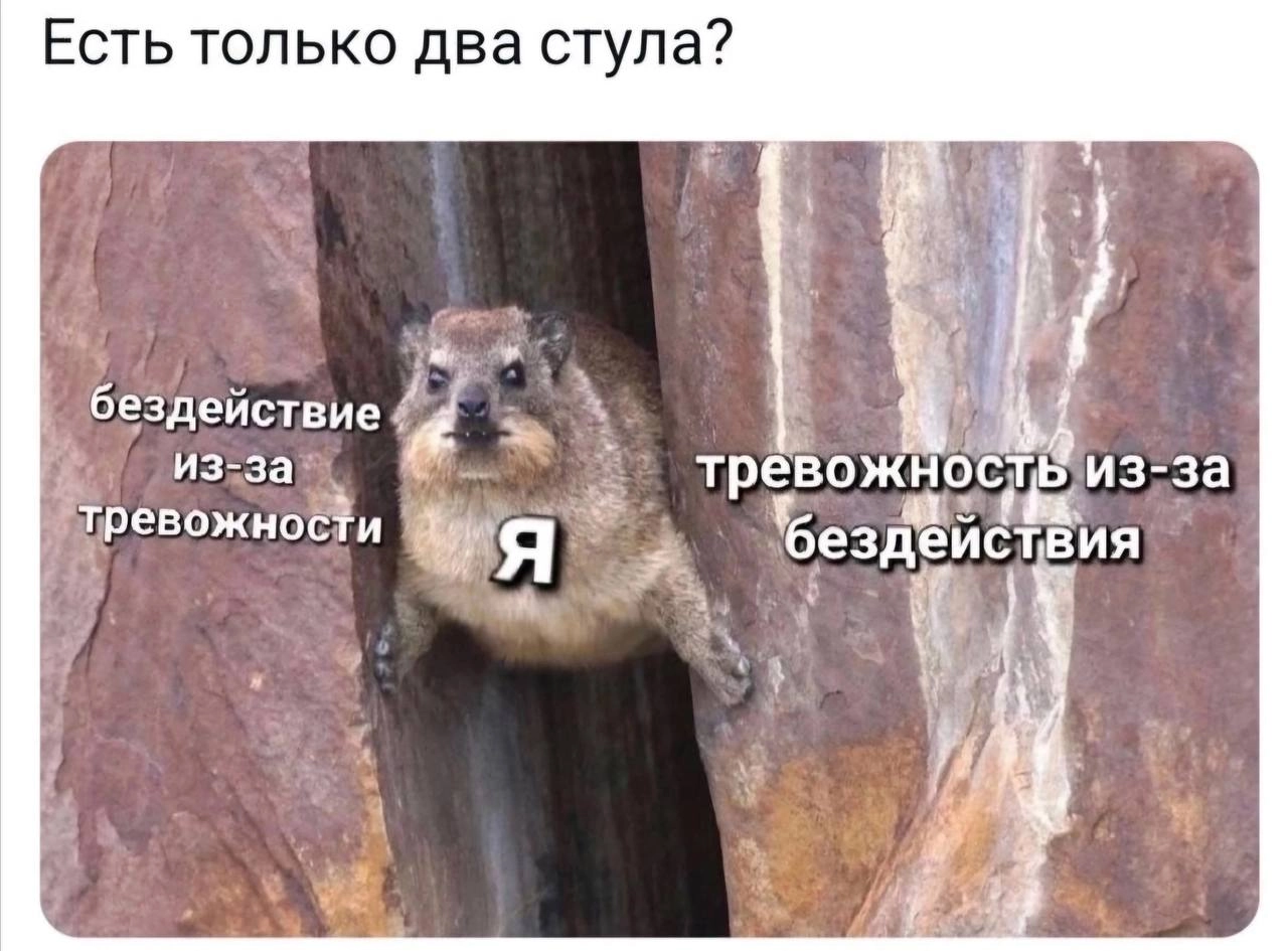 Сетка — социальная сеть от hh.ru