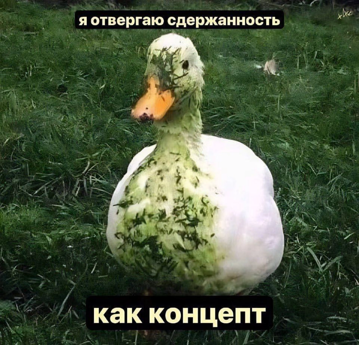 Что почитать: эстетика в бизнесе | Сетка — новая социальная сеть от hh.ru