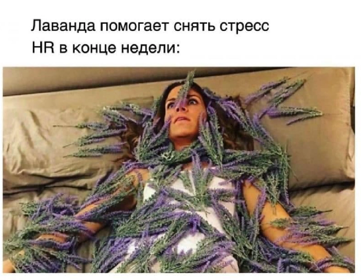 Всем привет! Меня зовут Варвара, и я HR-менеджер)
Мой путь начался с того, что я была студенткой, живущей на скромную стипендию в размере 5 тысяч рублей | Сетка — новая социальная сеть от hh.ru