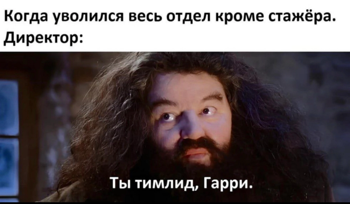 Сетка — новая социальная сеть от hh.ru