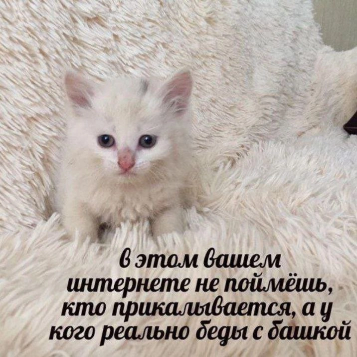 Решил писать 100 дней как, я изучаю программирование и у меня сегодня 
1/100 
У меня суббота из самых активных дней, прошло обучение по дебатам, английский | Сетка — новая социальная сеть от hh.ru