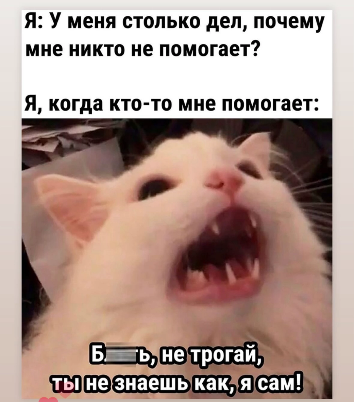 Меме 3 | Сетка — новая социальная сеть от hh.ru