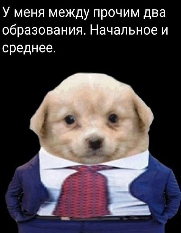 Сетка — новая социальная сеть от hh.ru