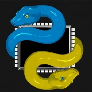 community avatar