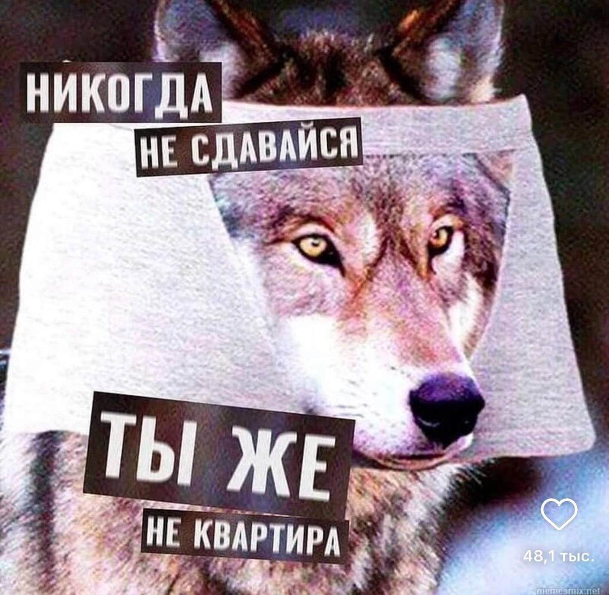 Ищешь вакансию на джуна в hh | Сетка — новая социальная сеть от hh.ru
