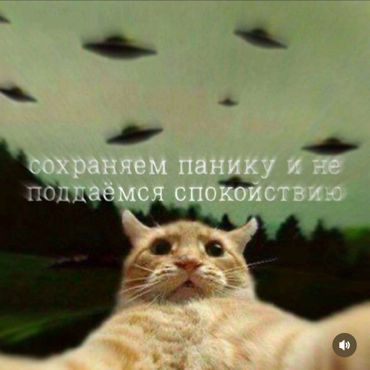 Меме 4 | Сетка — новая социальная сеть от hh.ru
