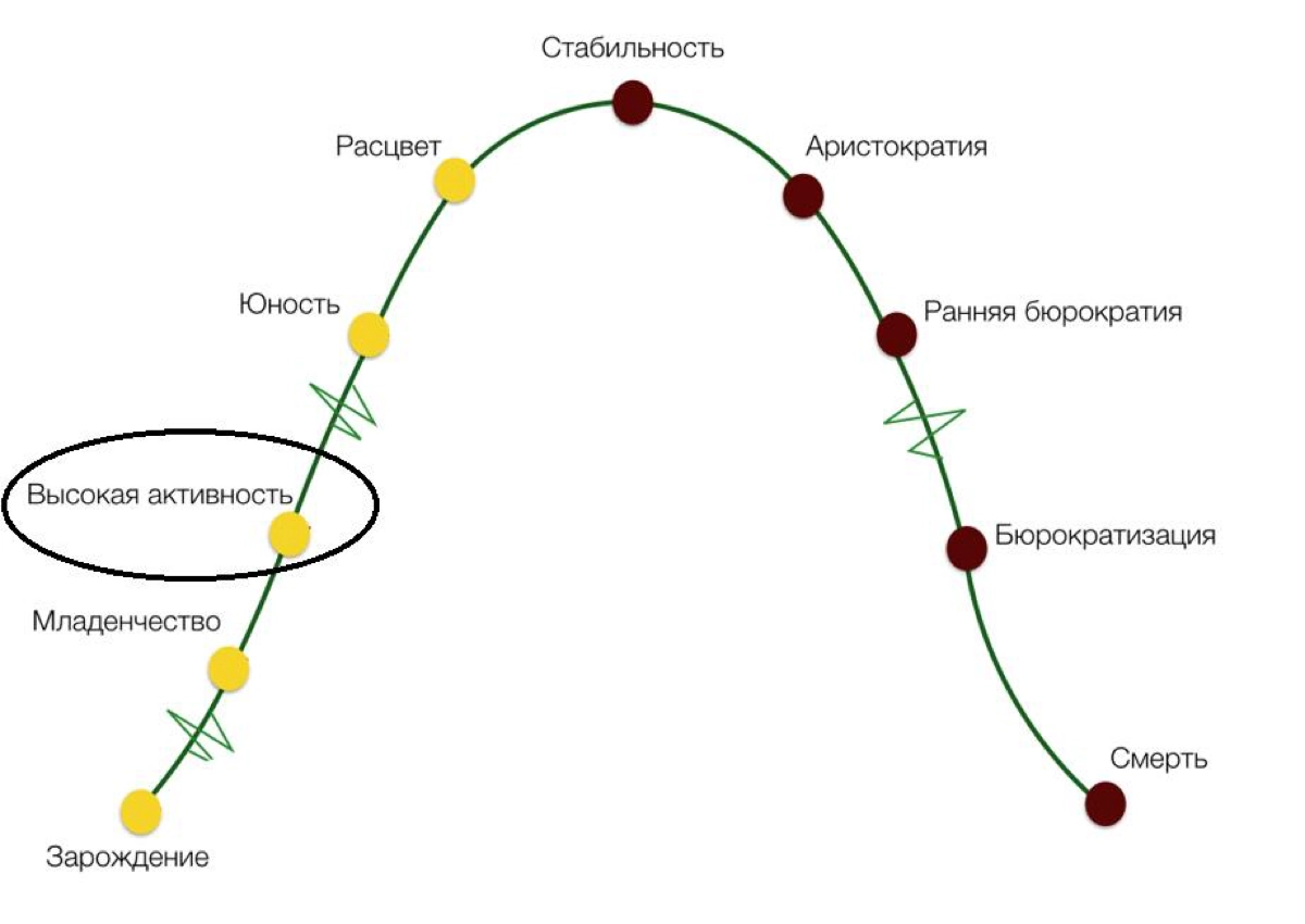 ✏️ Кривая Адизеса на практике | Сетка — новая социальная сеть от hh.ru