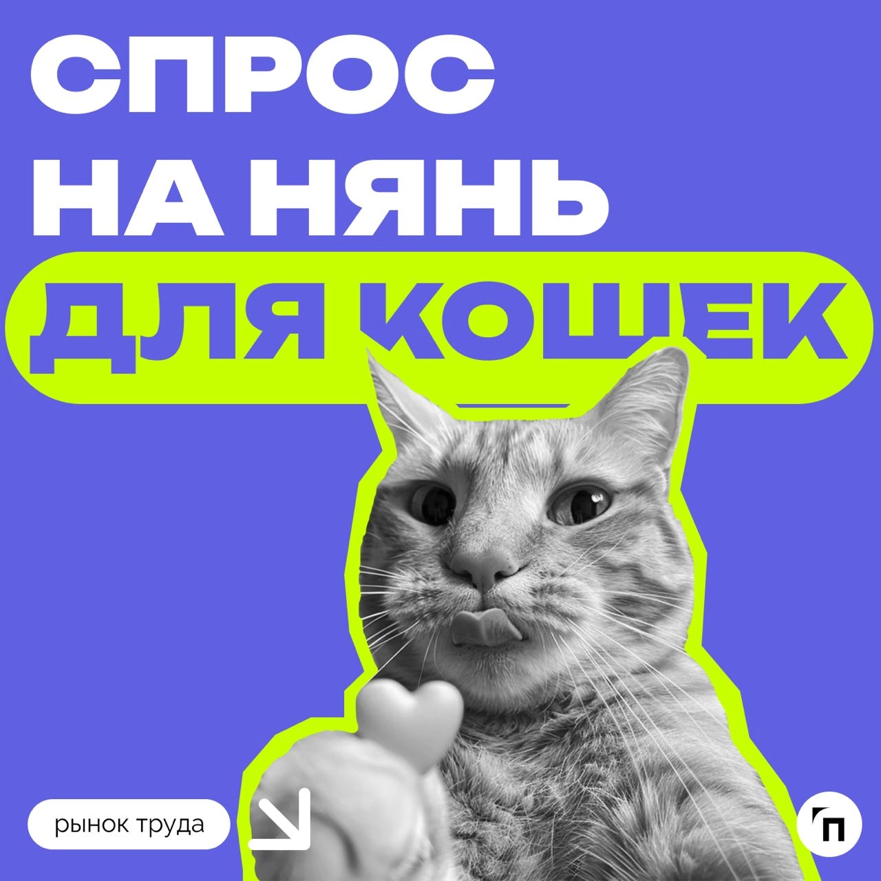 📊 В России в два раза вырос спрос на нянь для кошек
Эксперты hh | Сетка — новая социальная сеть от hh.ru